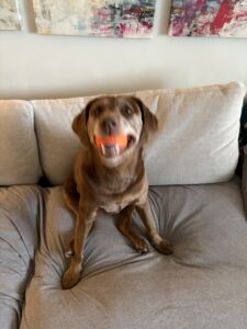 Estelle